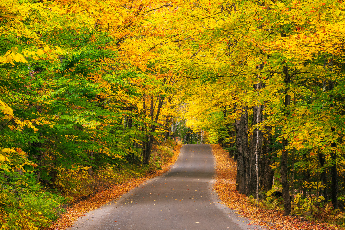 MAB-20211009-NY-ADIRONDACKS-AUTUMN-TREES-ROAD-75487.jpg