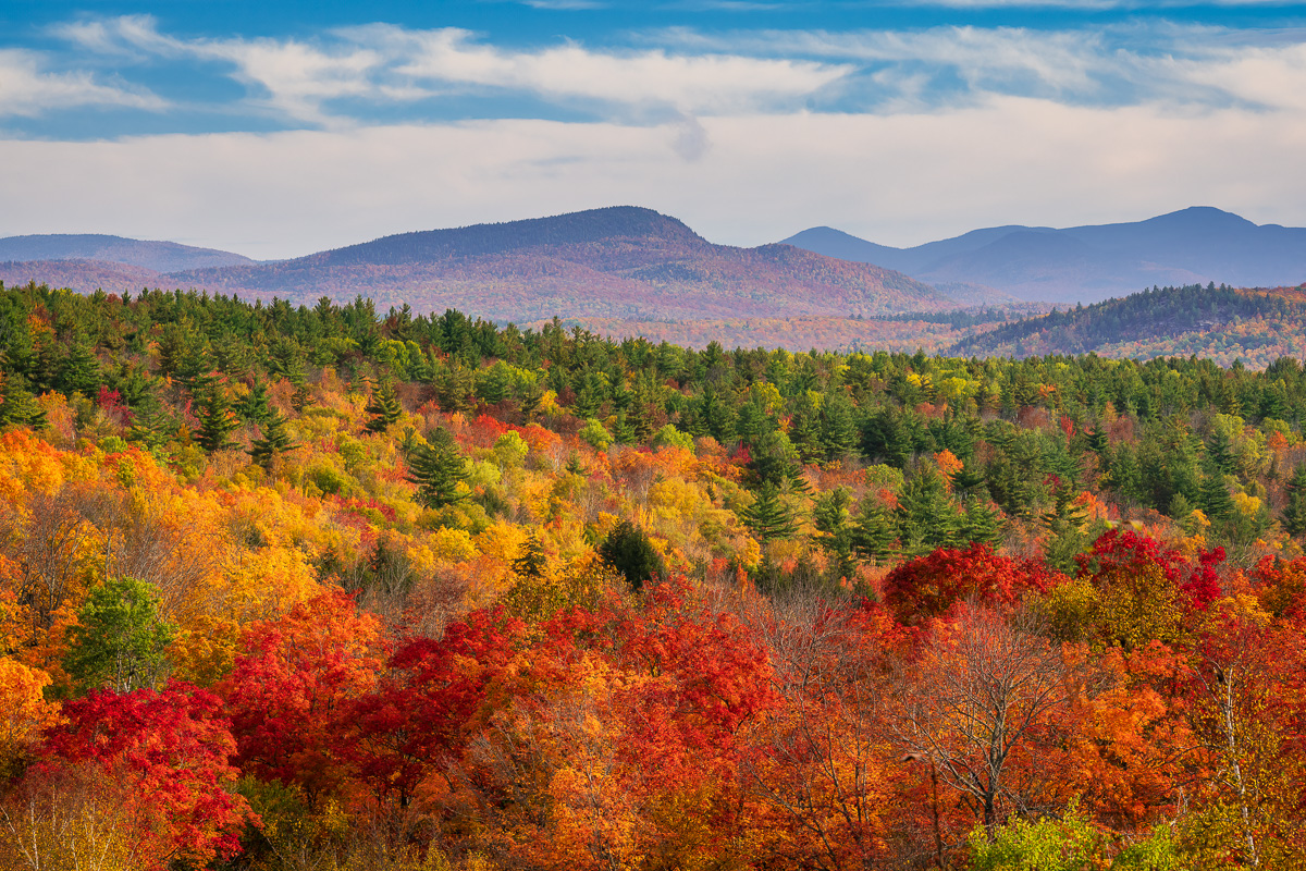 MAB-20211011-NY-ADIRONDACKS-AUTUMN-GARNET-HILL-TREES-24528.jpg