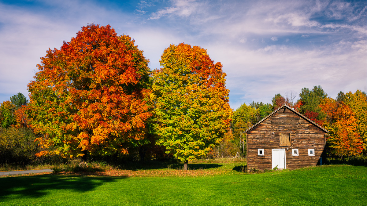 MAB-20211011-NY-ADIRONDACKS-AUTUMN-TREES-SHACK-24567.jpg