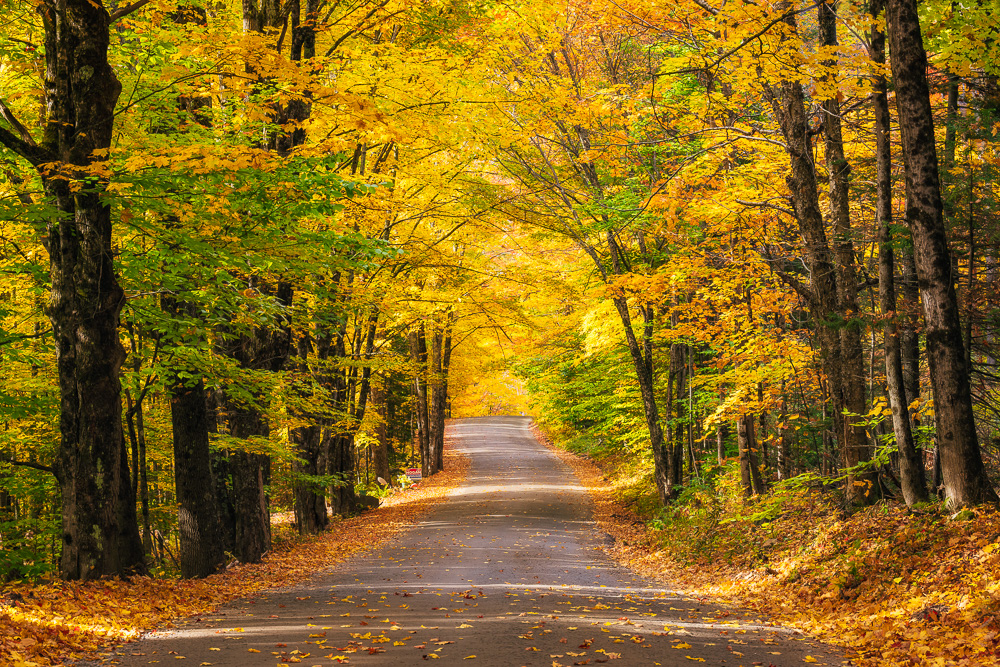 MAB-20211011-NY-ADIRONDACKS-AUTUMN-TREES-ROAD-24547.jpg