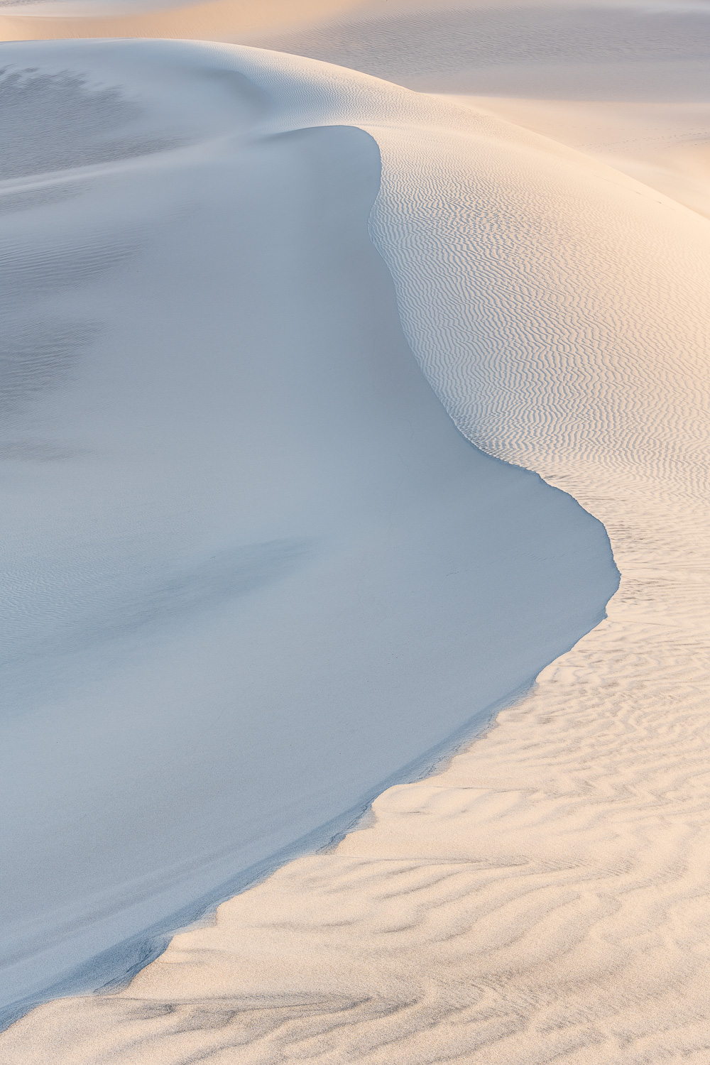 MAB-20190409-CA-DEATH-VALLEY-MESQUITE-DUNES-SUNRISE-71665.jpg