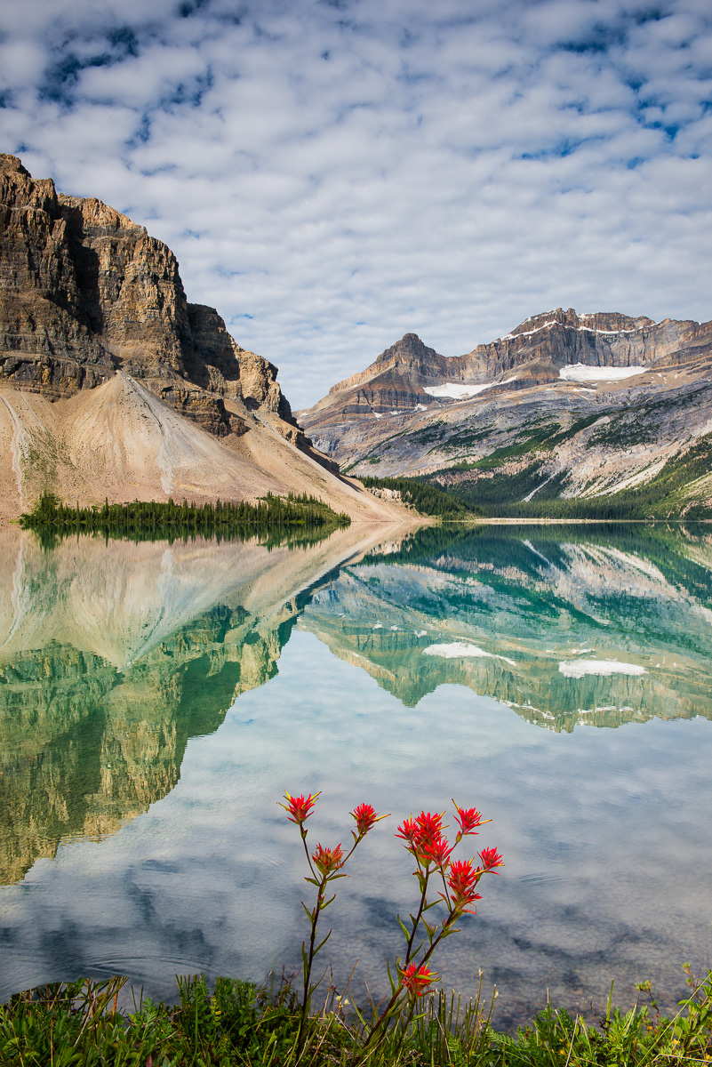 MAB-20160727-AB-BOW-LAKE-REFLECTION-8102633.jpg