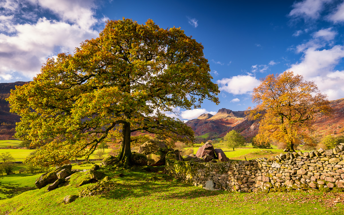 MAB-20191029-GB-LAKES-DISTRICT-LANGDALE-PIKES-77835.jpg