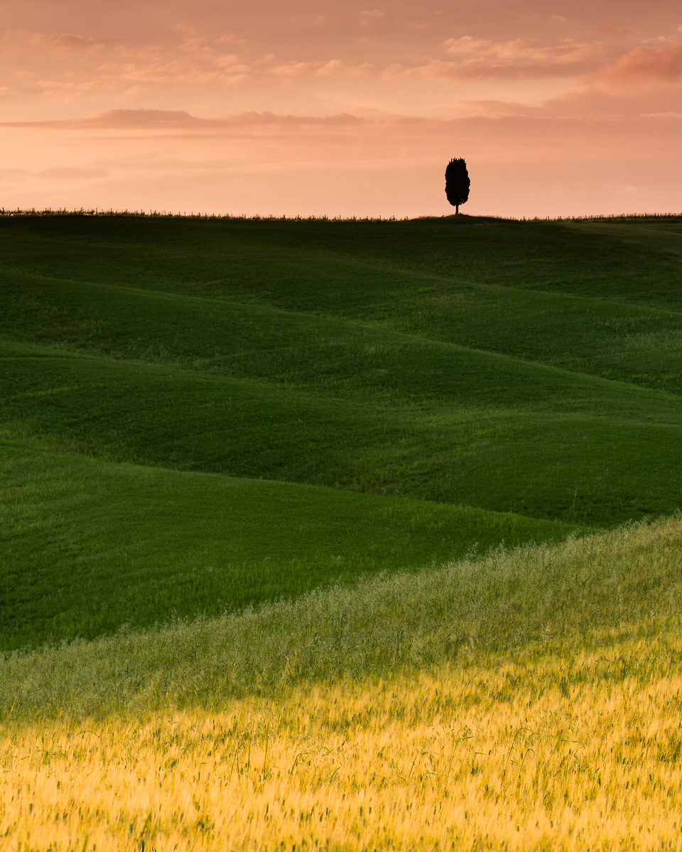 MAB-20160518-ITALY-TUSCANY-CYPRESS-TREE-SUNSET-8109353.jpg