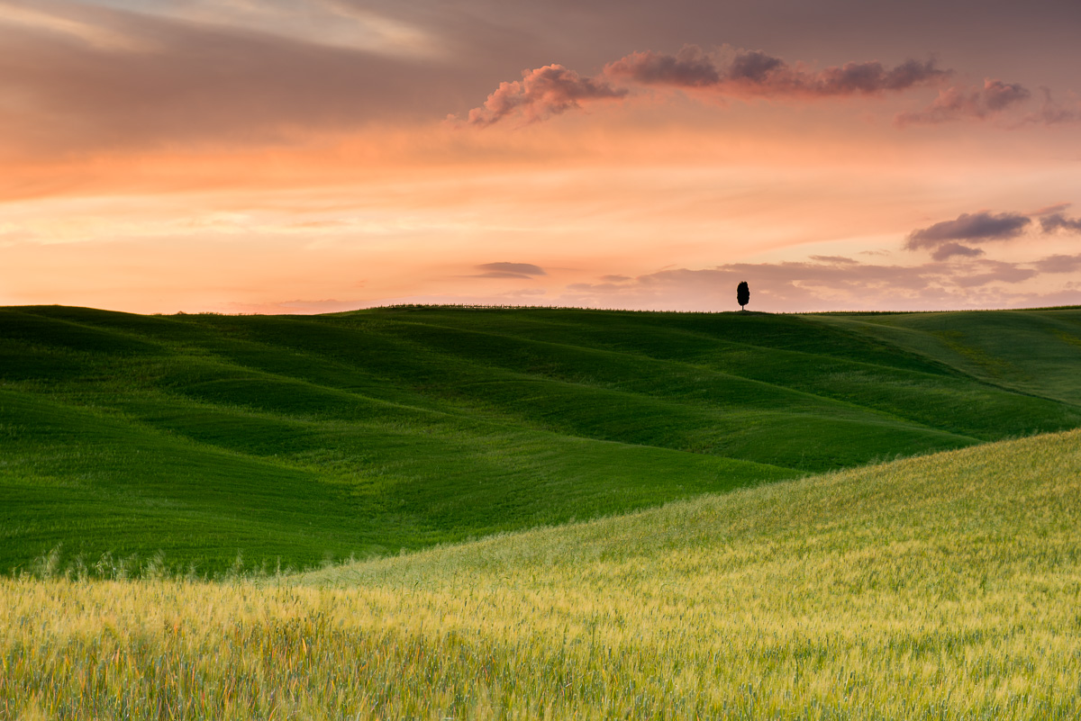 MAB-20160518-ITALY-TUSCANY-CYPRESS-TREE-SUNSET-8109404.jpg