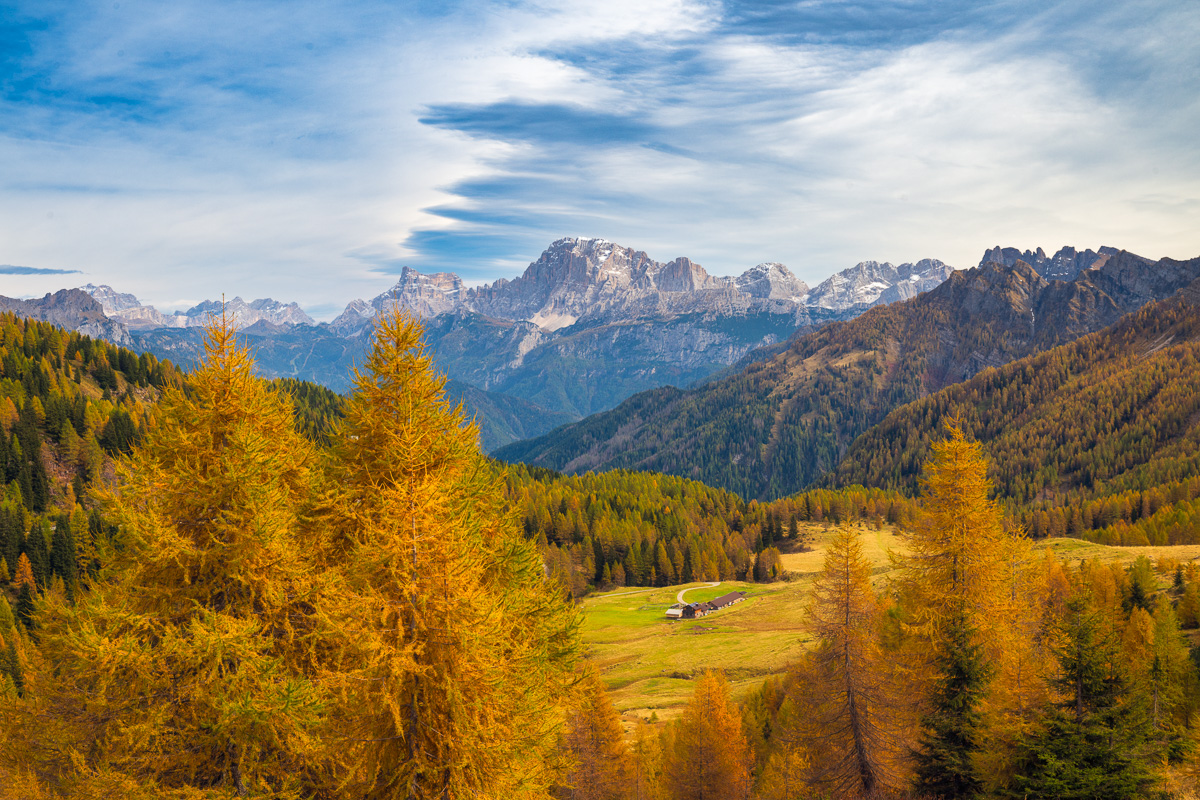 MAB-DJI-20241013-ITALY-DOLOMITES-PASSO-VALLES-LARCH-TREES-0023.jpg