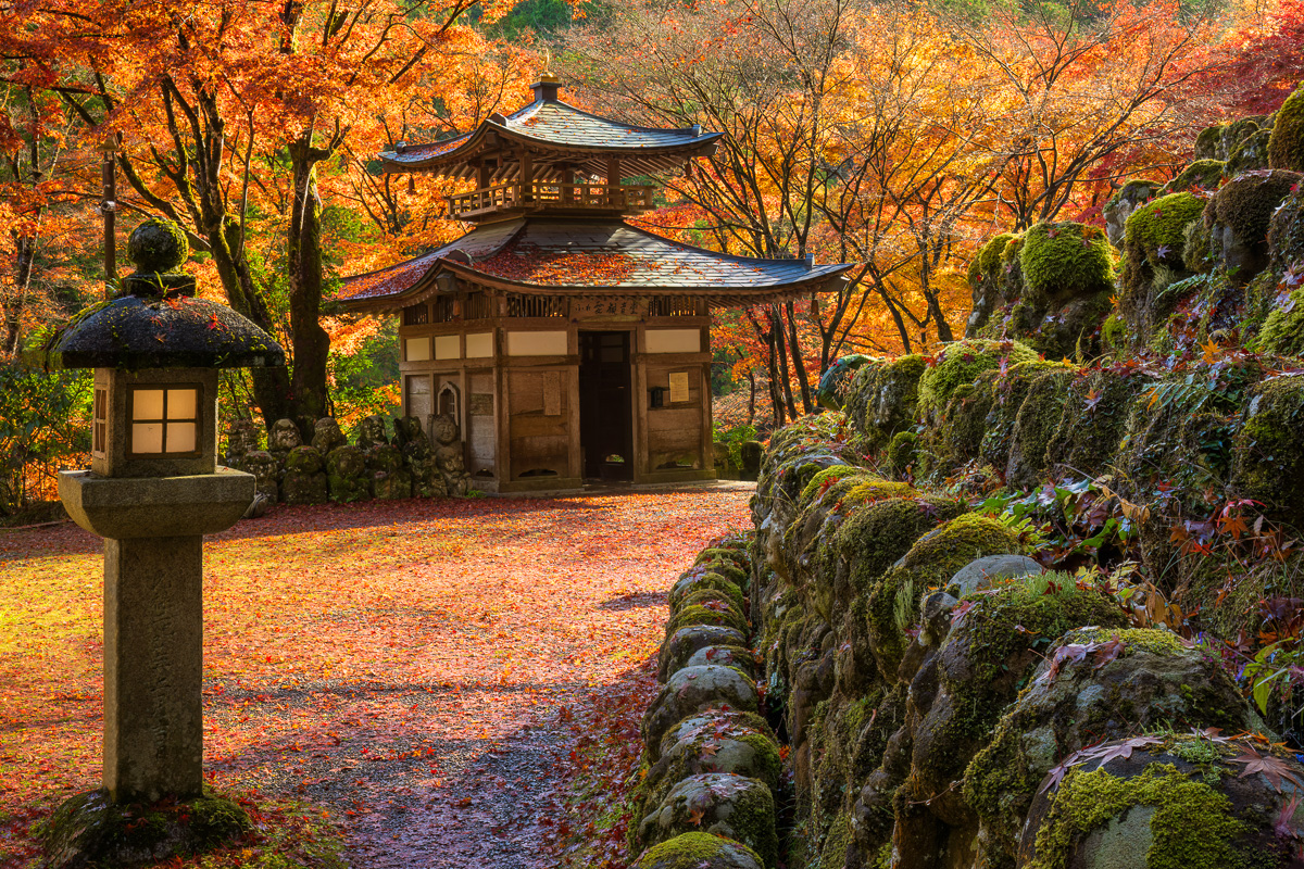 MAB-20221124-JP-ADASHINO-NENBUTSUJI-TEMPLE-24655.jpg