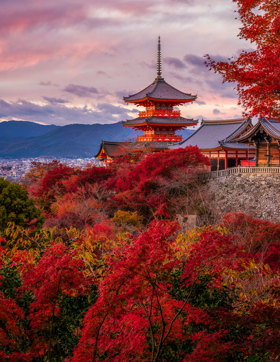 MAB-20221124-JP-KYOTO-KIYOMIZU-DERA-TEMPLE-SUNSET-24926.jpg