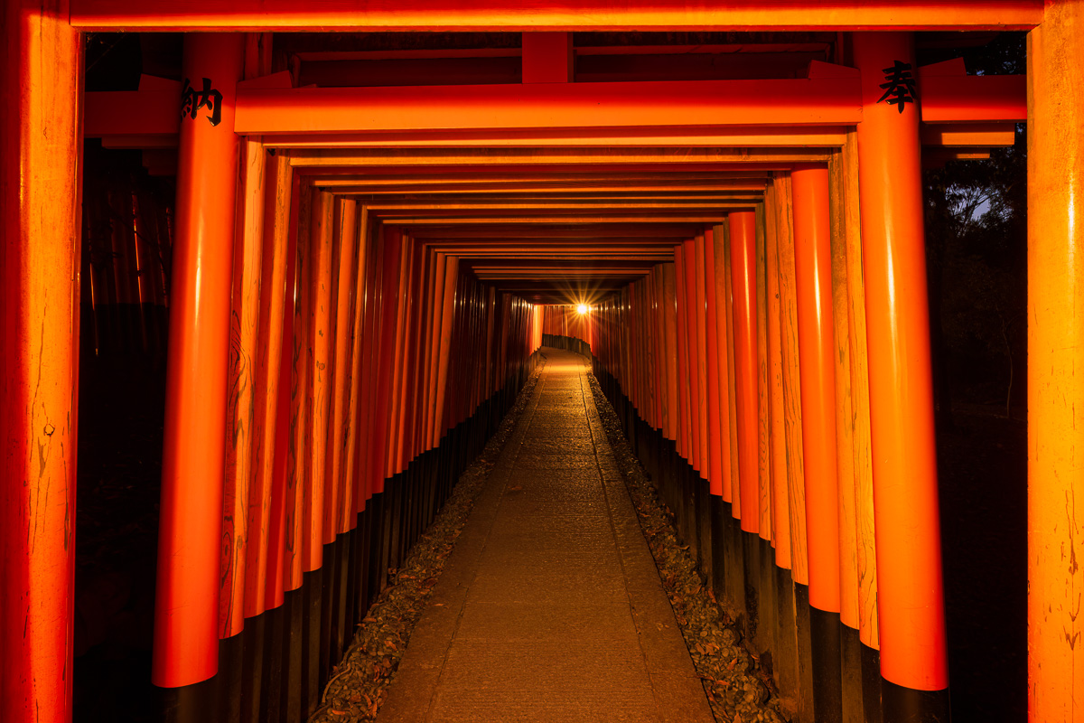 MAB-20221125-JP-KYOTO-FUSHIMI-INARI-SHRINE-TORII-GATE-25059.jpg