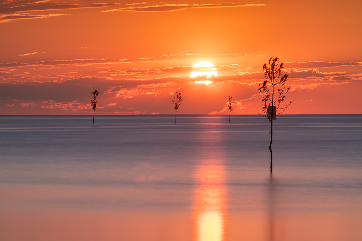 MA-ROCK-HARBOR-SUNSET-8220.jpg