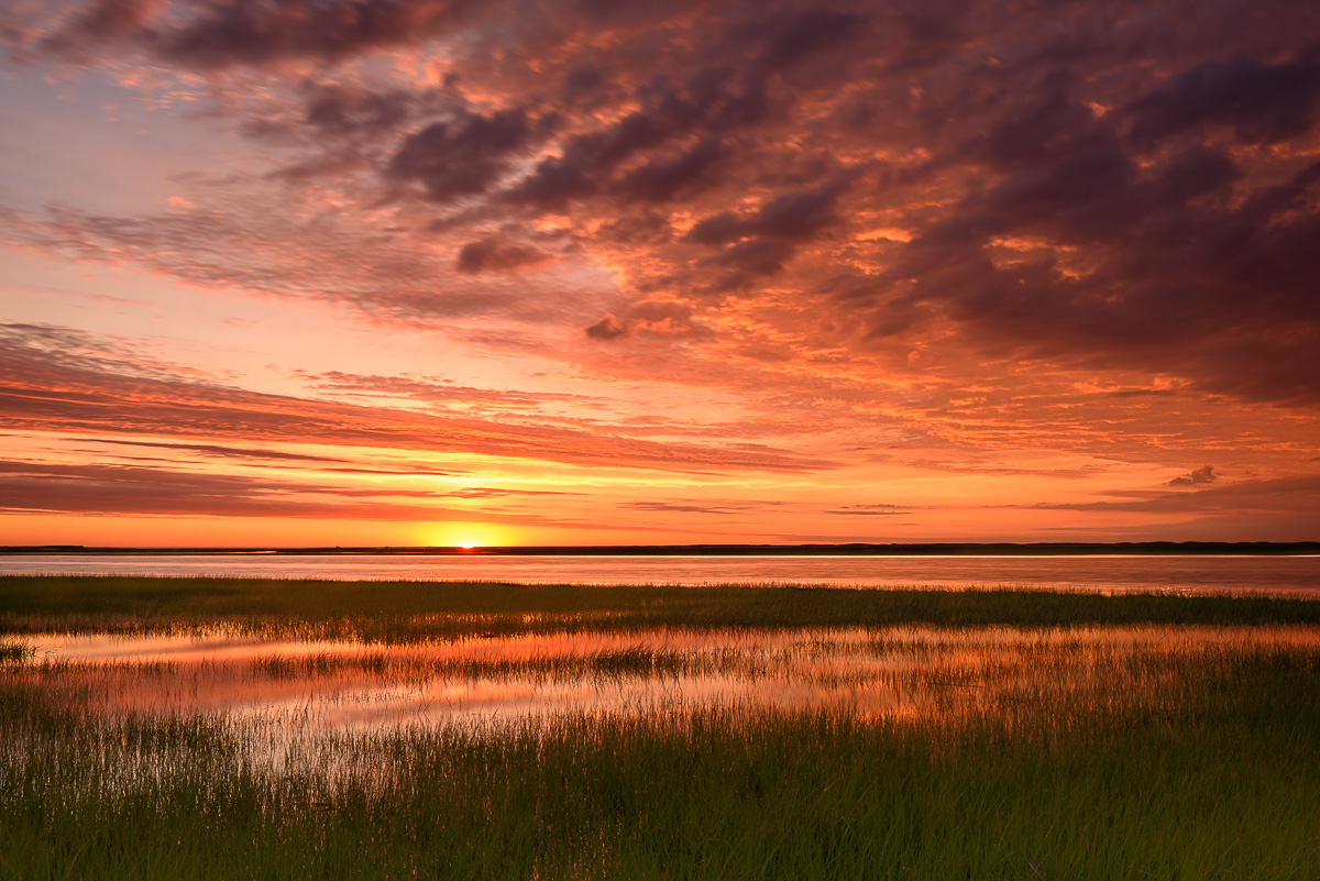 MAB-20170614-MA-EASTHAM-NAUSET-MARSH-8108652.jpg