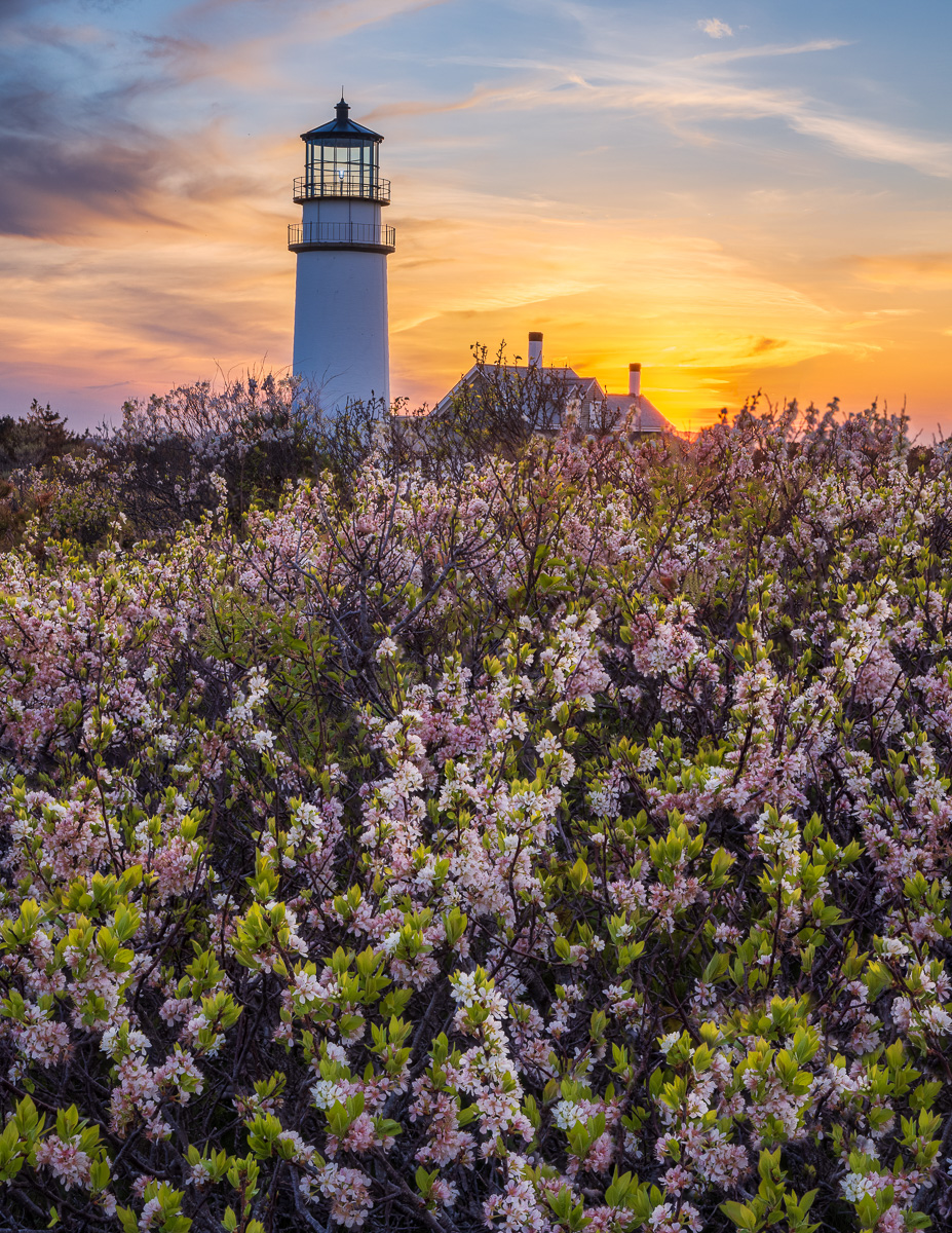 MAB-20220525-MA-HIGHLAND-LIGHT-BEACH-PLUMS-SUNSET-23881.jpg