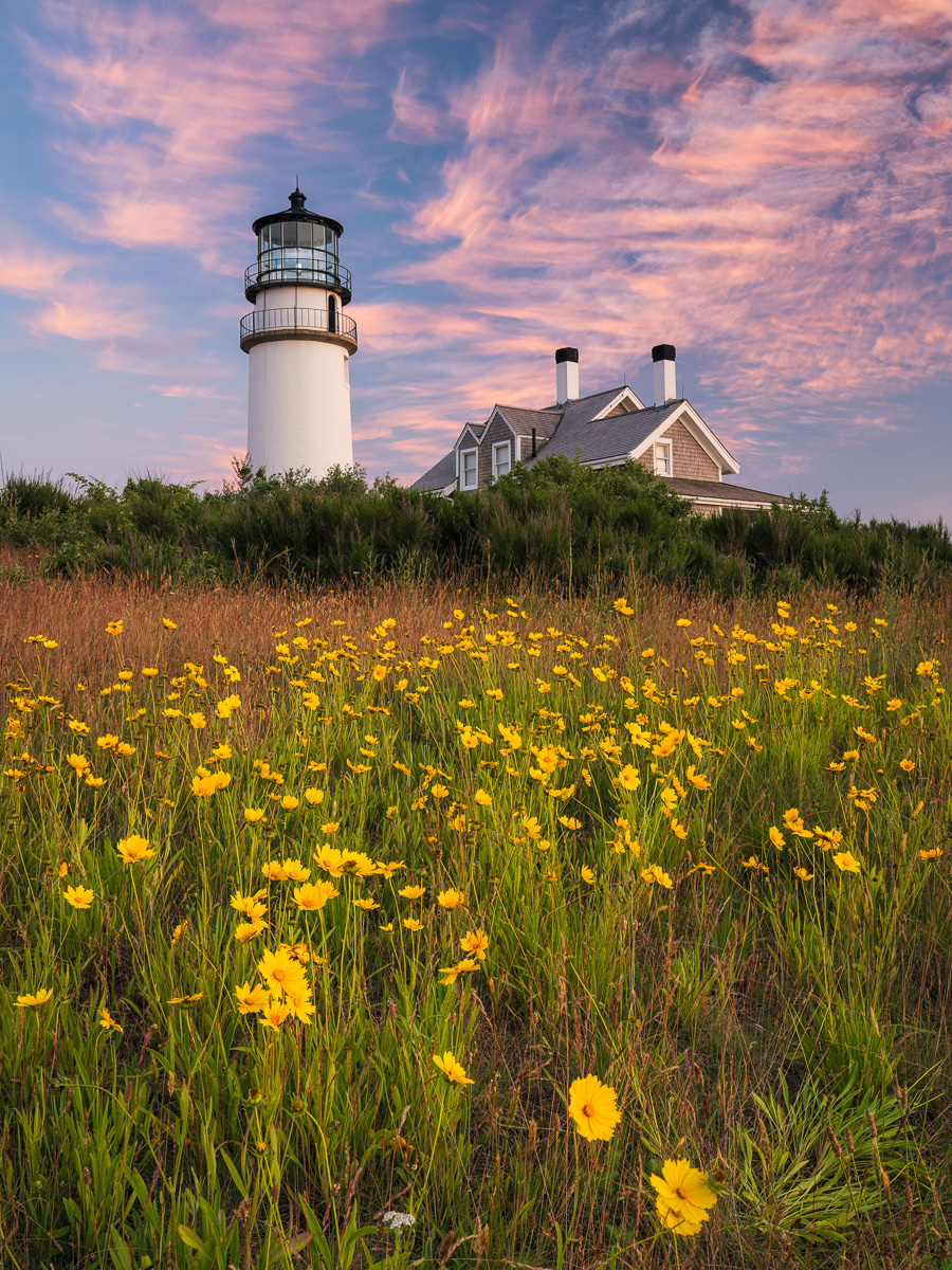 MAB-20220620-MA-HIGHLAND-LIGHT-SUNSET-FLOWERS-00038.jpg