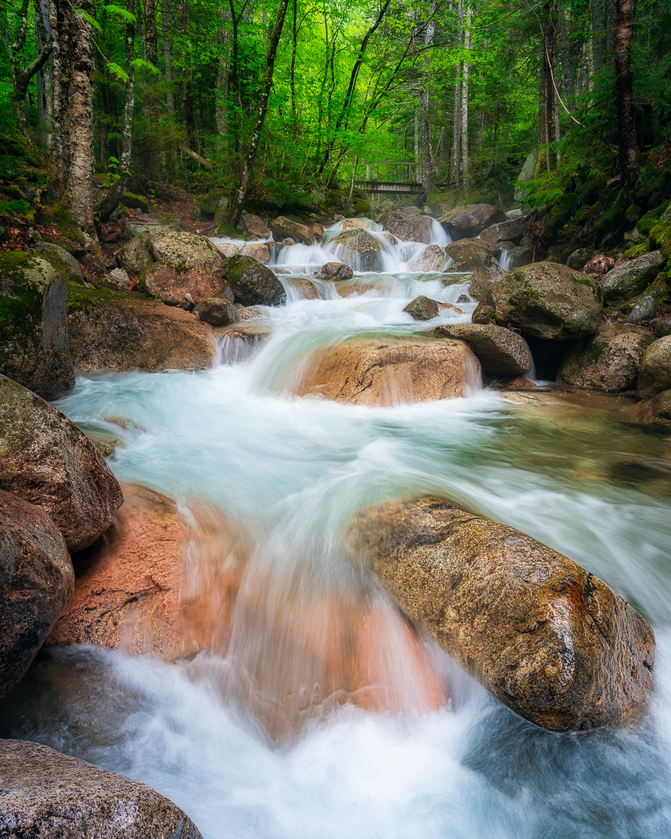 MAB-20200529-NH-FRANCONIA-DRY-BROOK-CASCADE-78754.jpg