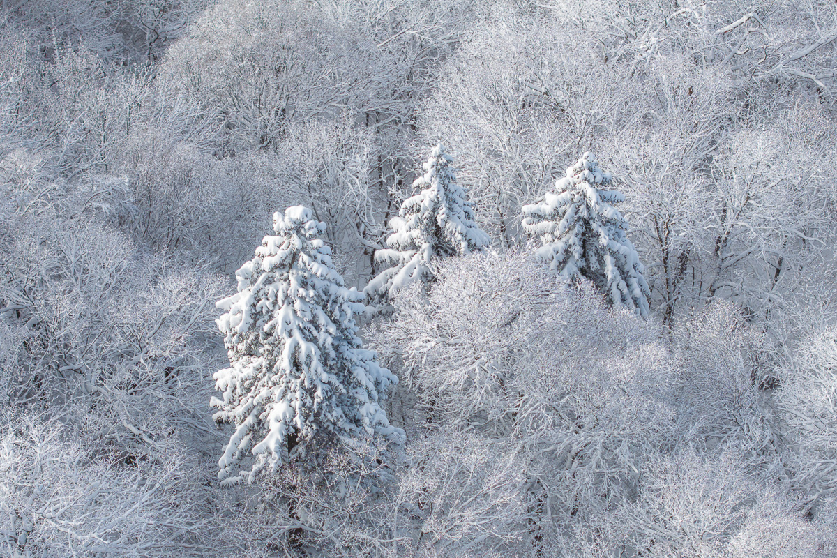 MAB-DJI-20231206-NH-DIXVILLE-NOTCH-WINTER-SNOW-0084.jpg