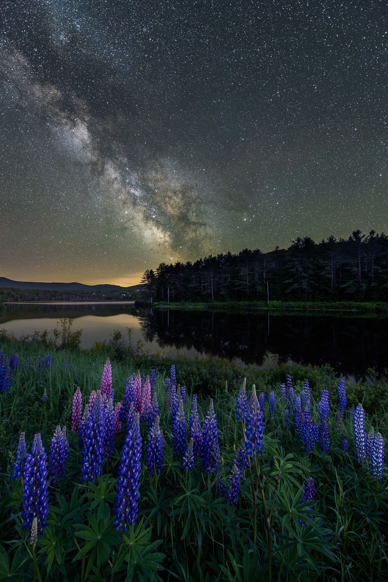 NH-PEARL-LAKE-NIGHT-LUPINES-7816-.jpg