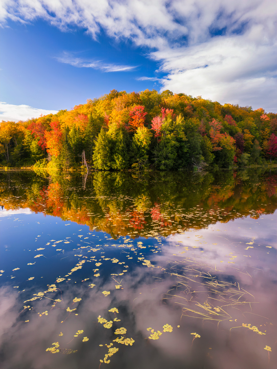 MAB-20220927-VT-DJM3-BELVIDERE-POND-AUTUMN-0369.jpg