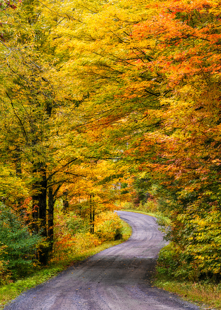 MAB-20220927-VT-SHEFFIELD-ROAD-FOLIAGE-20903.jpg