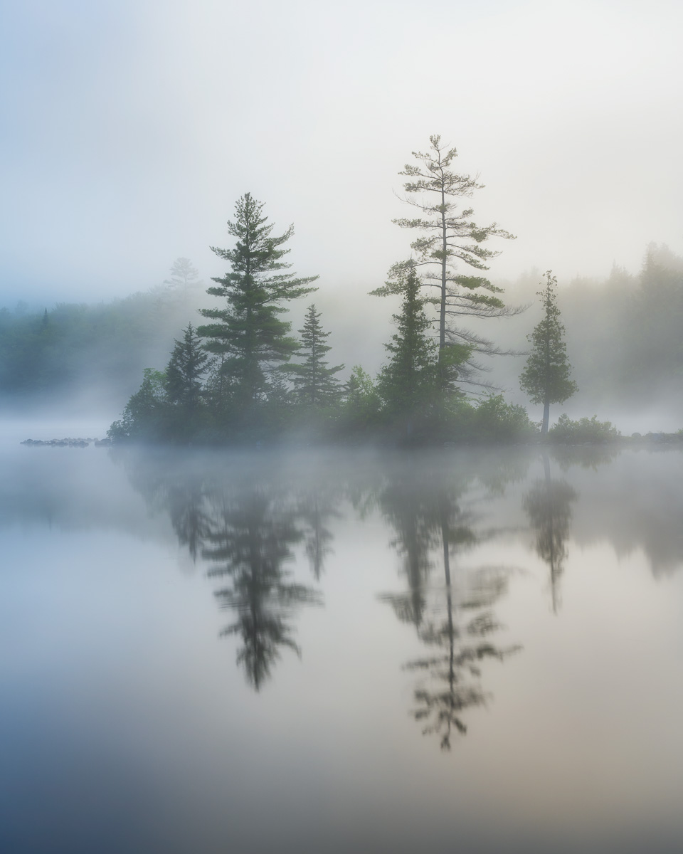 MAB-20230623-VT-GROTON-RICKER-POND-FOG-TREES-23984.jpg