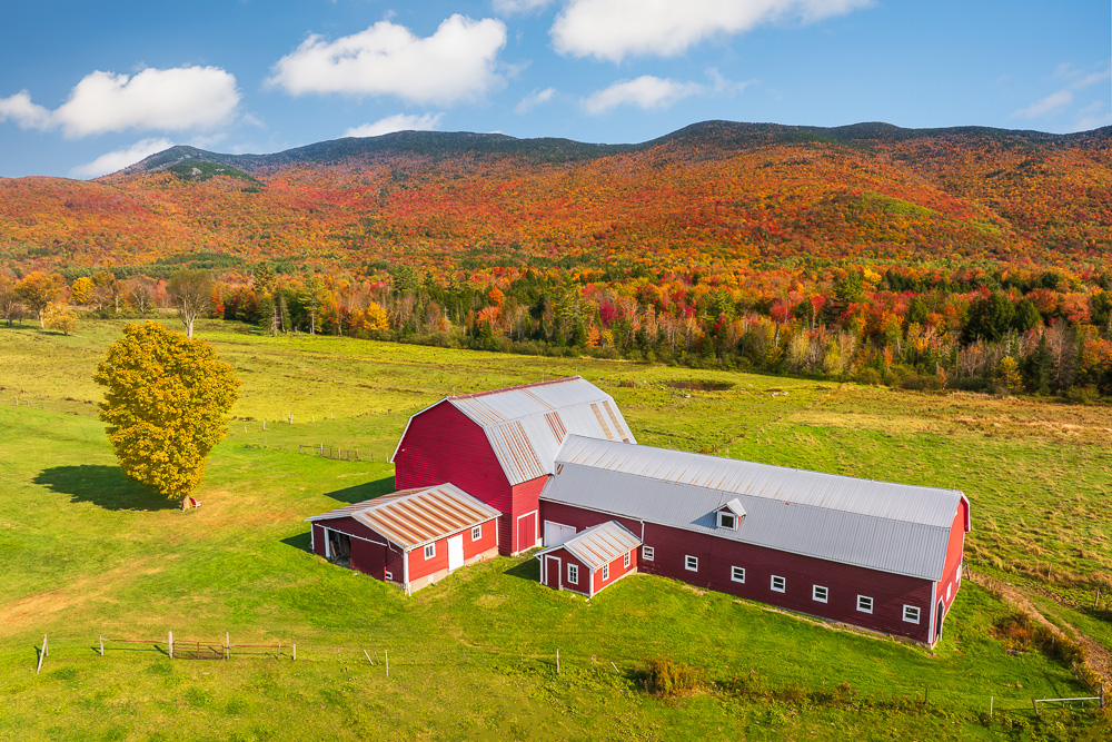 MAB-DJI-20241003-VT-WATERBURY-RED-BARN-AUTUMN-FOLIAGE-0003.jpg