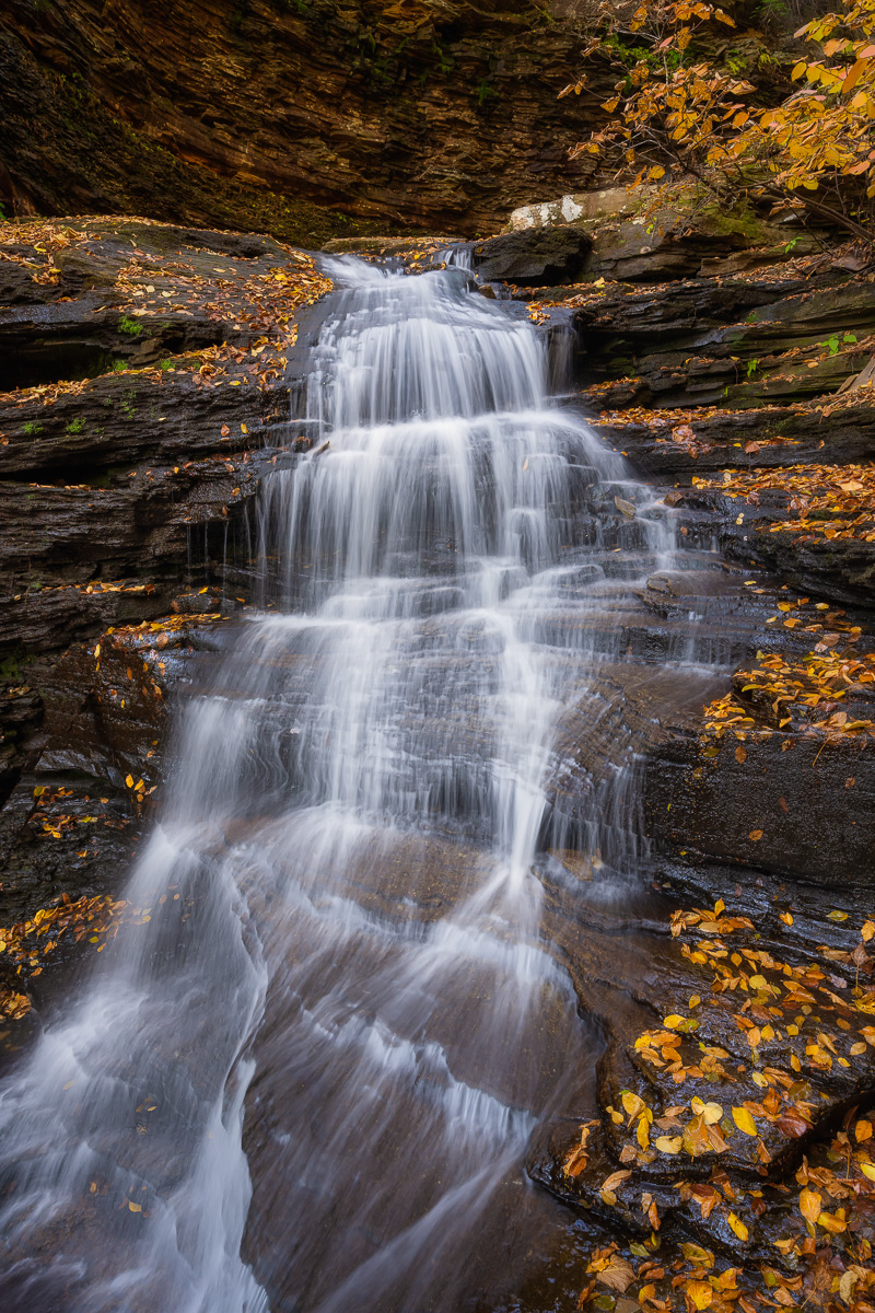 MAB-20201015-PA-RICKETTS-GLEN-HURON-FALLS-74547.jpg