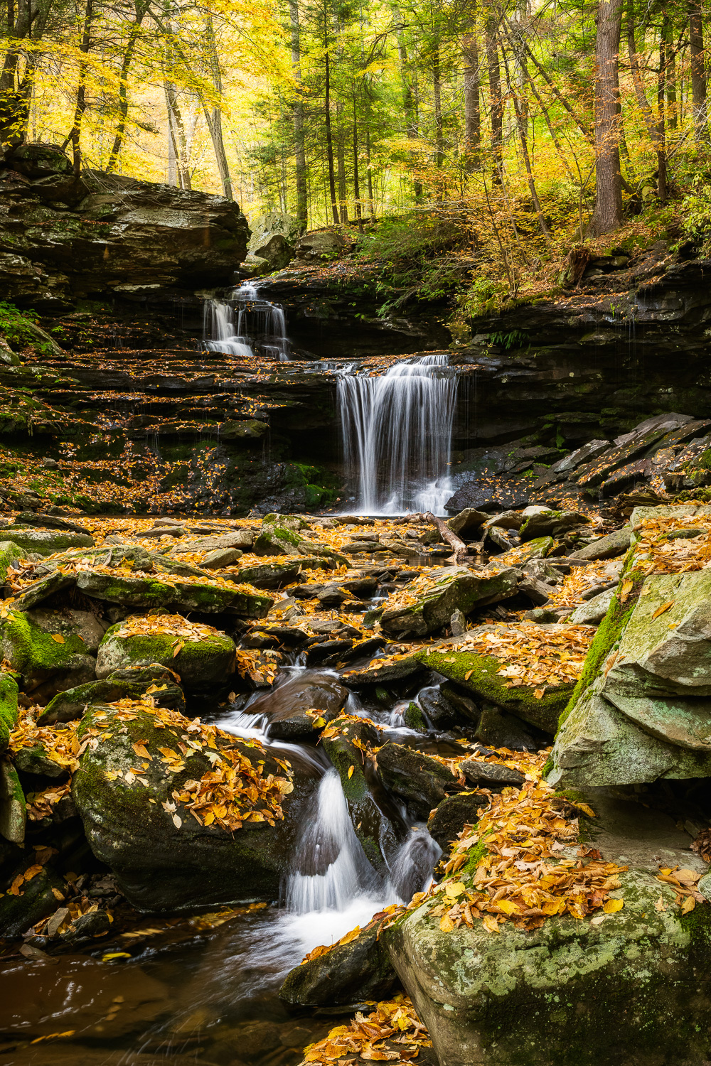 MAB-20201016-PA-RICKETTS-GLEN-B-REYNOLDS-FALLS-74864.jpg