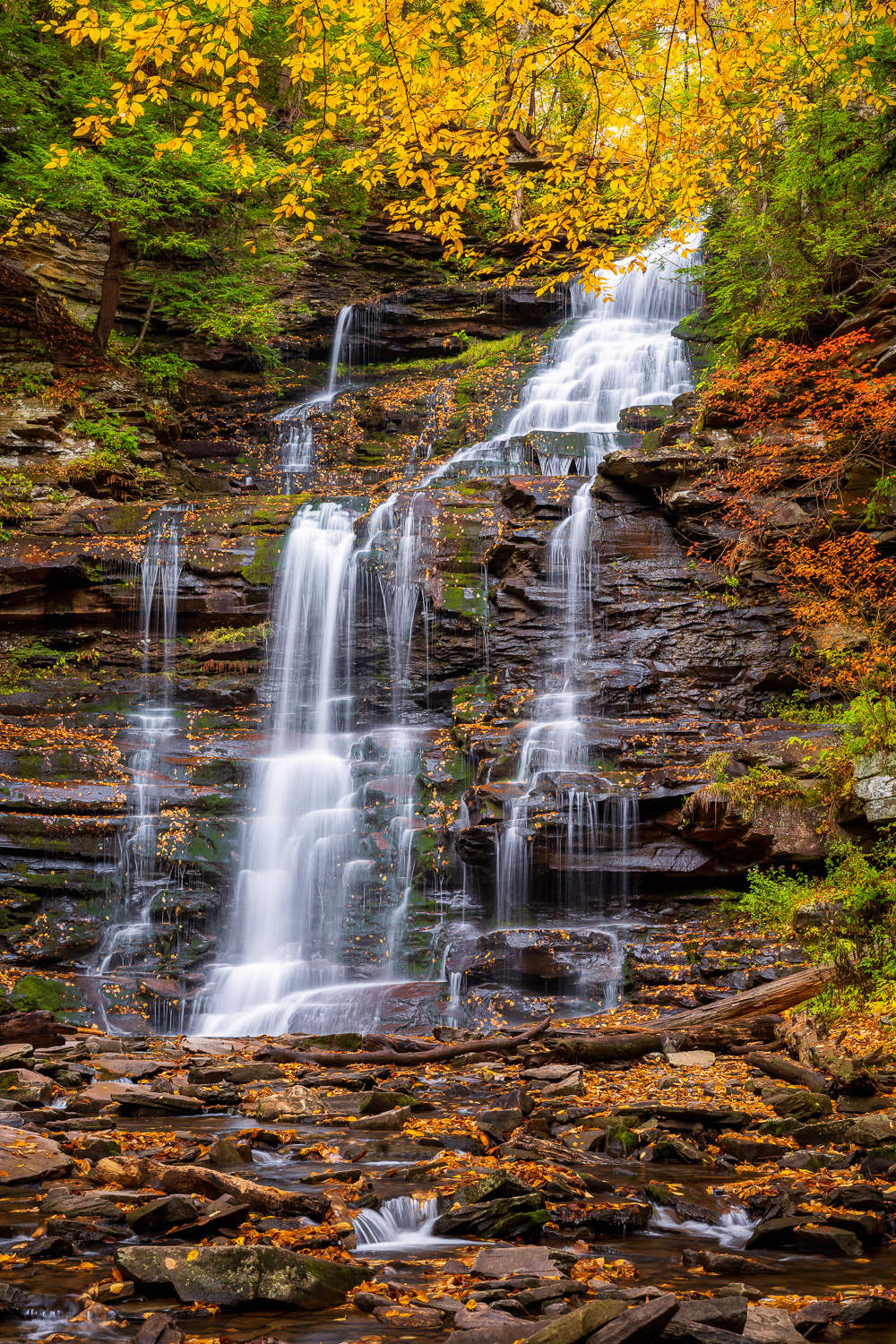 MAB-20201016-PA-RICKETTS-GLEN-GANOGA-FALLS-74653.jpg