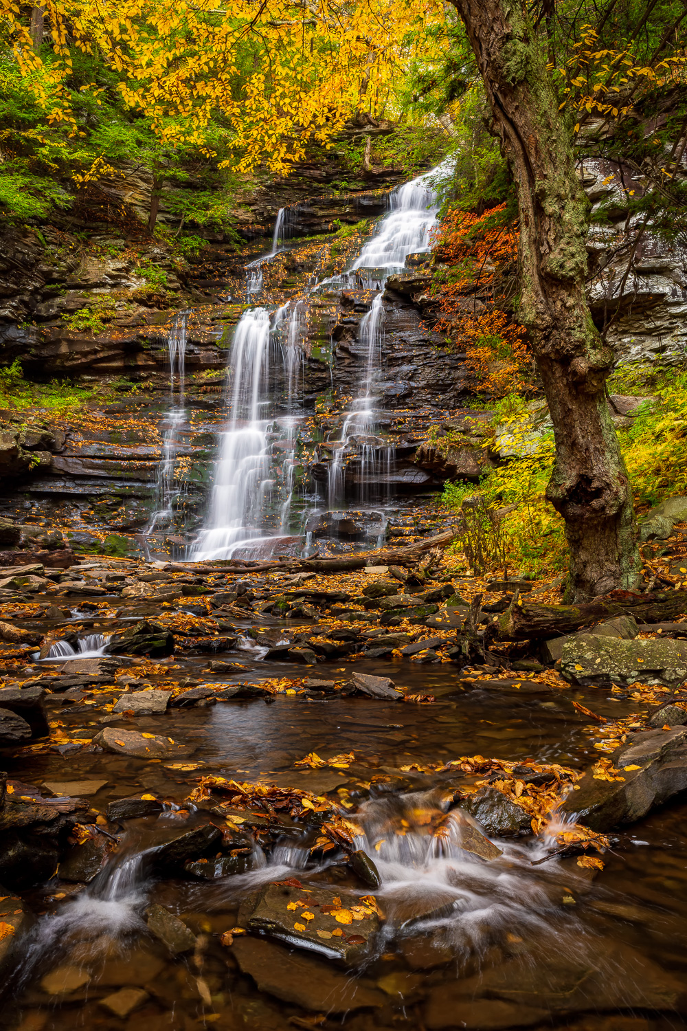 MAB-20201016-PA-RICKETTS-GLEN-GANOGA-FALLS-74658.jpg