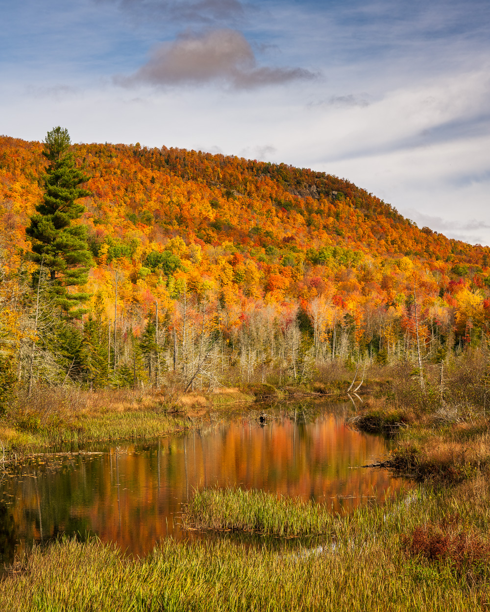 MAB-20211011-NY-ADIRONDACKS-AUTUMN-POND-REFLECTION-24553.jpg