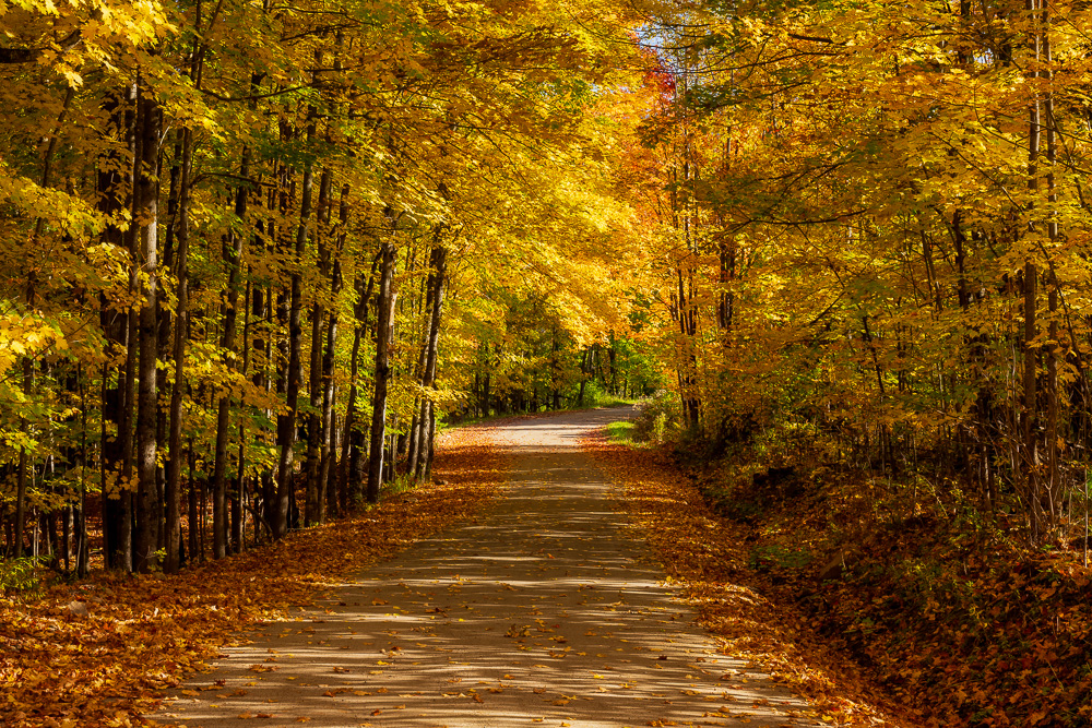 MAB-20211011-NY-ADIRONDACKS-AUTUMN-TREES-ROAD-24580.jpg