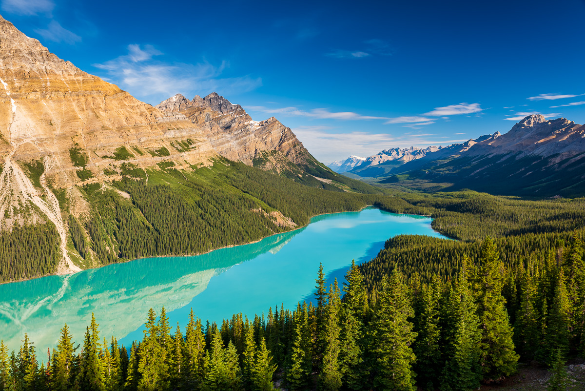 MAB-20160727-AB-PEYTO-LAKE-GREEN-8102598.jpg