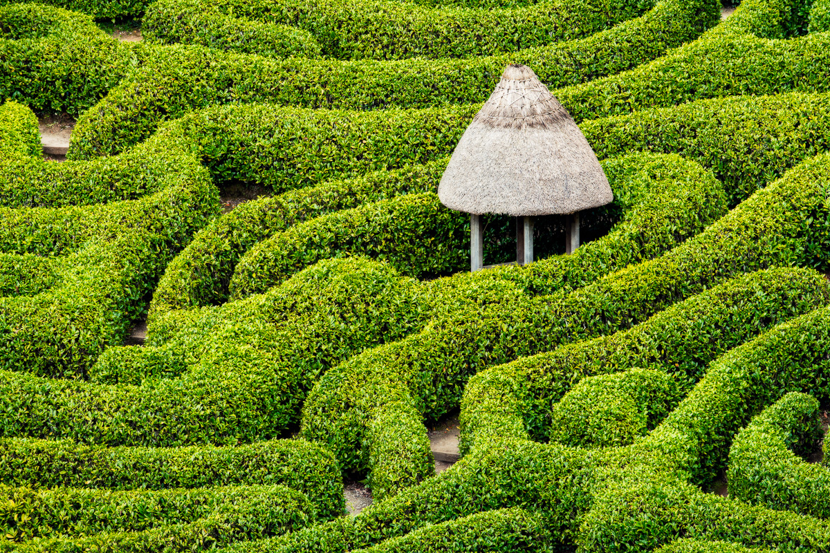 GB-CORNWALL-GLENDURGAN-GARDEN-5188.jpg