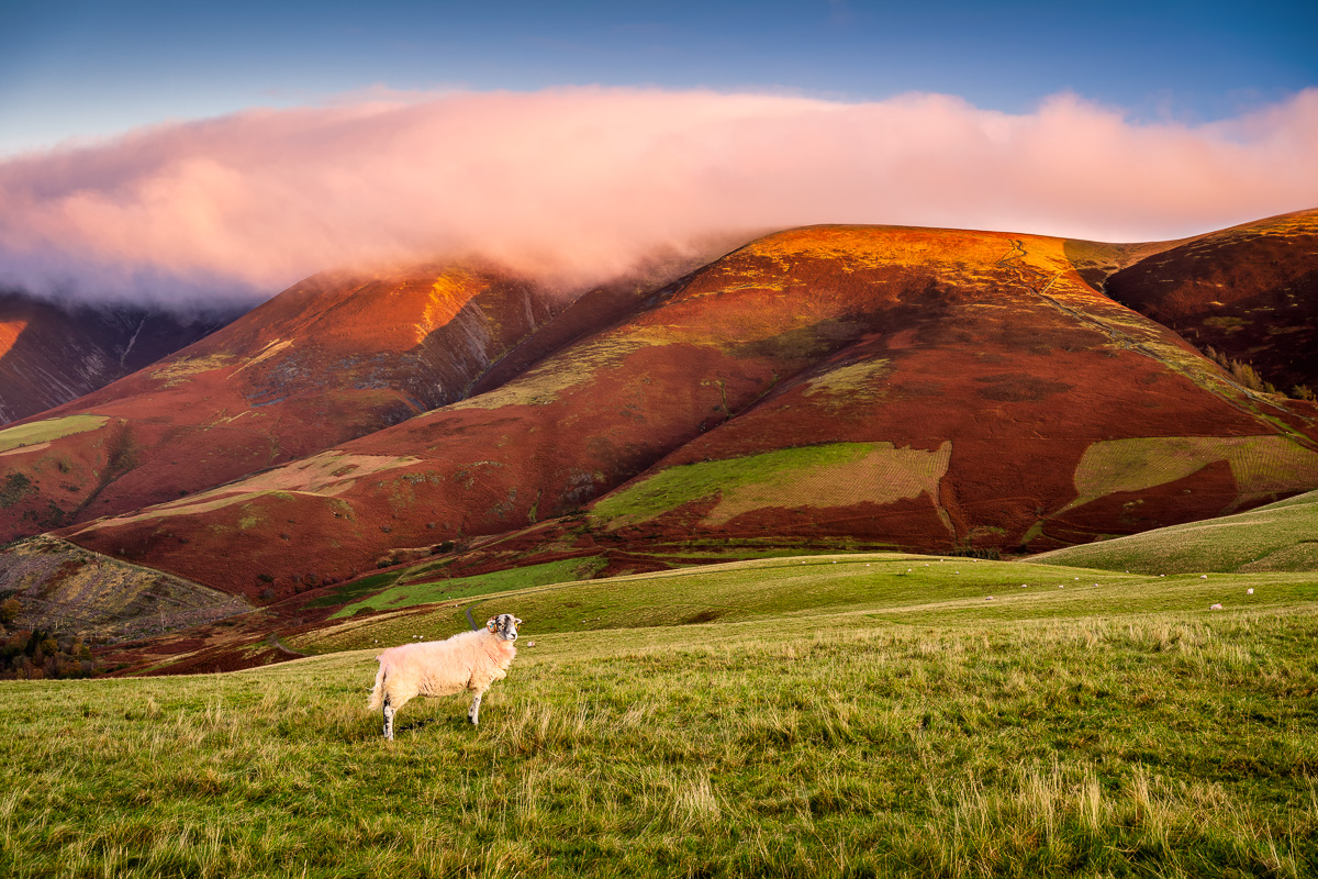 MAB-20191028-GB-LAKES-DISTRICT-LATRIGG-FELL-SUNRISE-77664.jpg