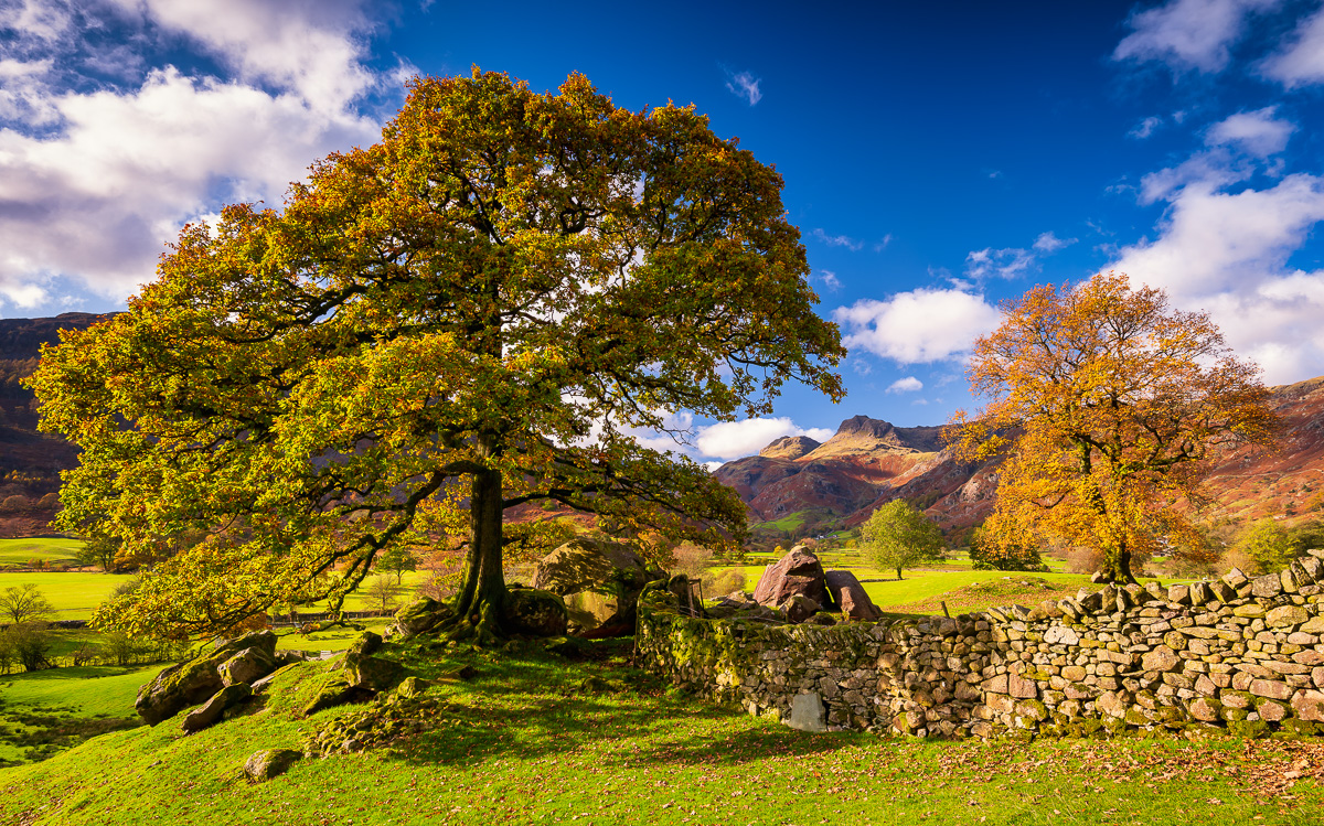 MAB-20191029-GB-LAKES-DISTRICT-LANGDALE-PIKES-77835.jpg