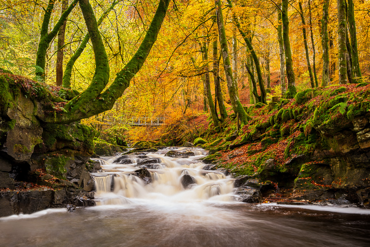 MAB-20191103-GB-SCOTLAND-BIRKS-ABERFELDY-AUTUMN-78602.jpg