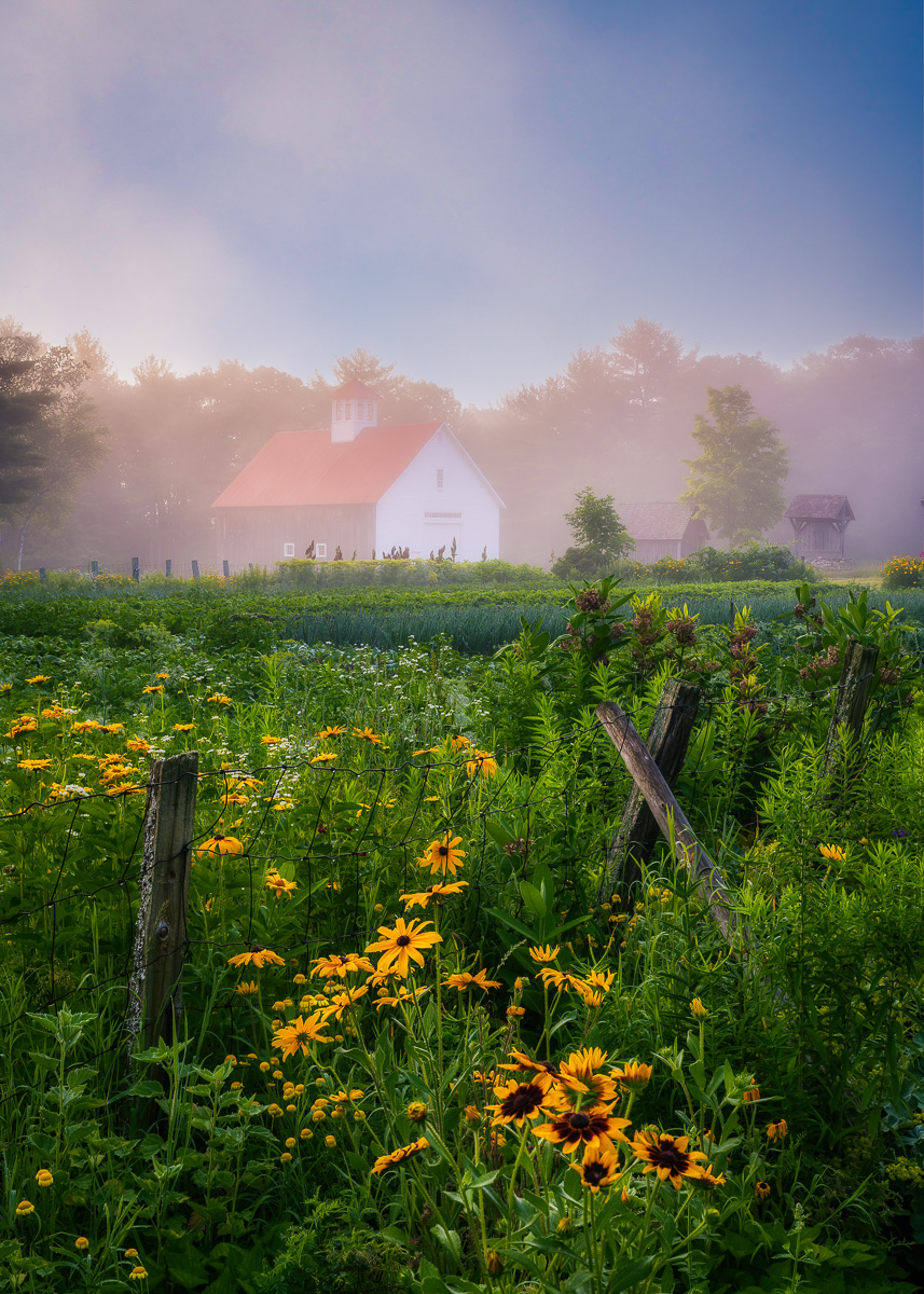 MAB-20210711-NH-MUSTER-FIELD-FARM-FOG-79063.jpg