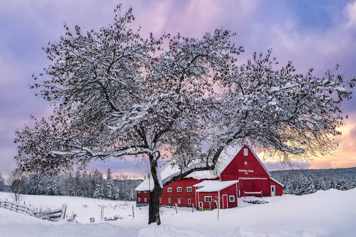 MAB-20231205-VT-COLUMBIA-PIONEER-FARM-WINTER-SNOW-084441.jpg