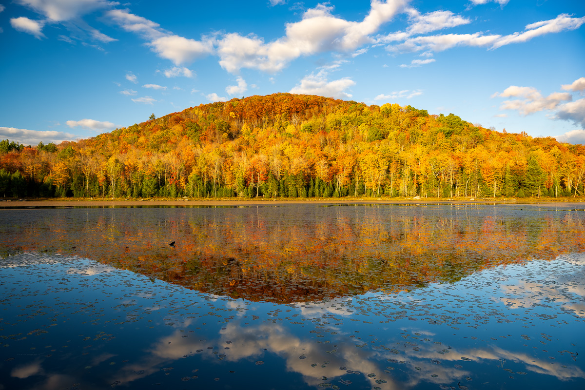 MAB-20200930-VT-BAILEY-POND-FALL-FOLIAGE-71368.jpg