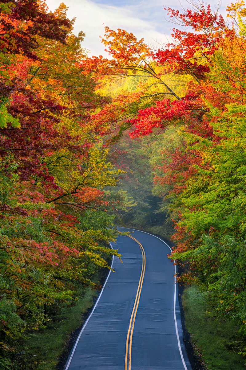 MAB-20220927-VT-GROTON-STATE-FOREST-FOG-20887.jpg