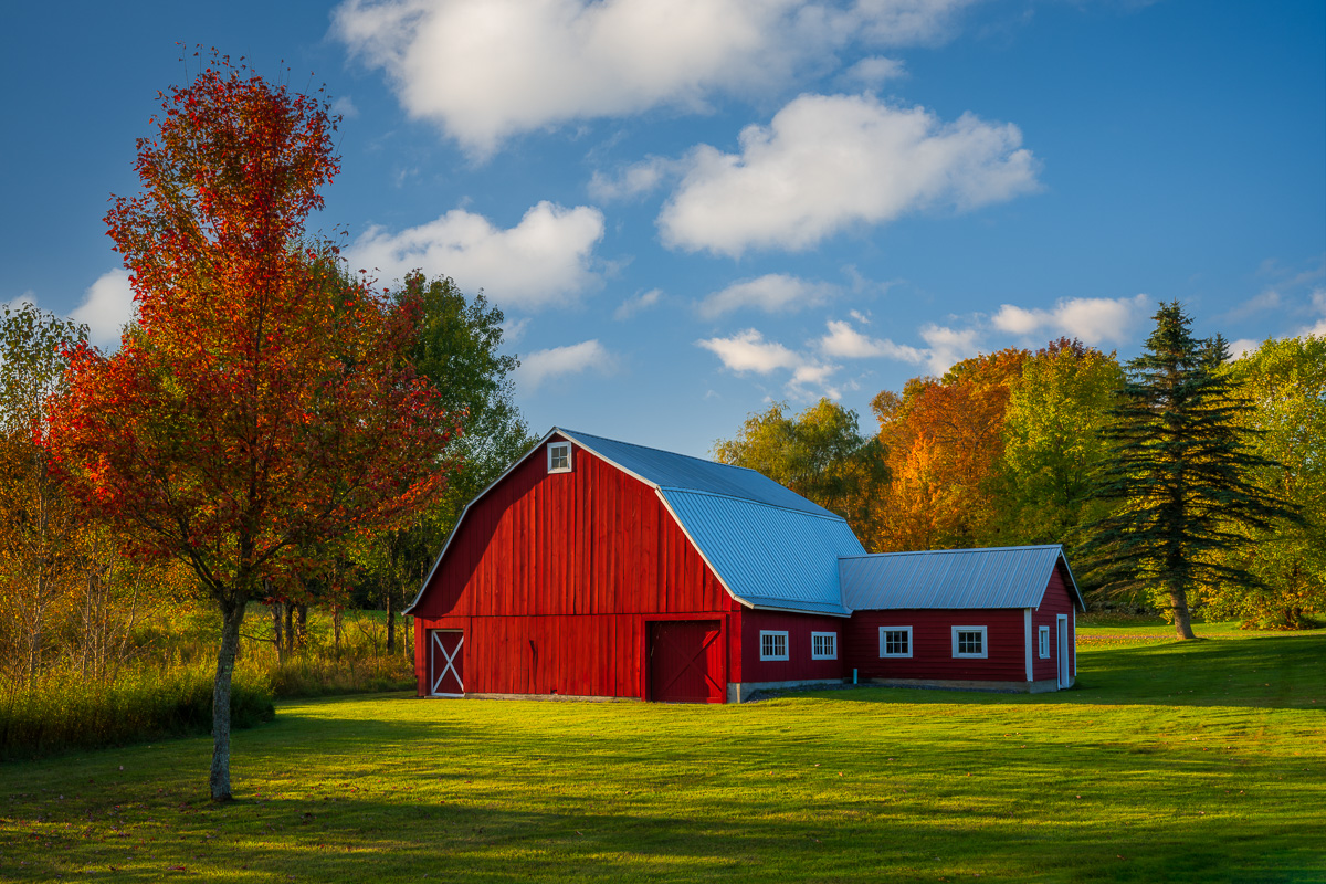 MAB-20231001-VT-RED-BARN-AUTUMN-COLOR-082489.jpg