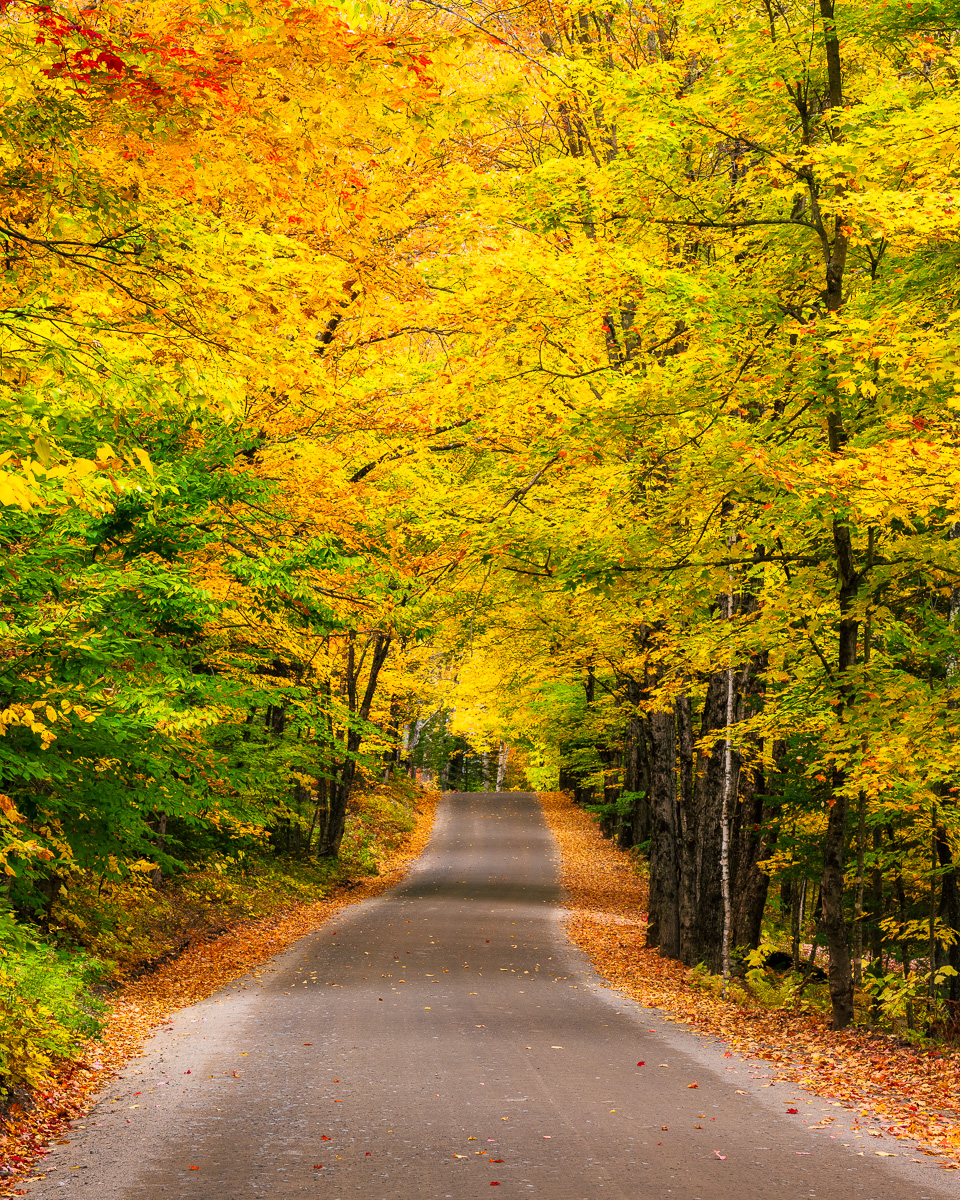 MAB-20211009-NY-ADIRONDACKS-AUTUMN-TREES-ROAD-75490.jpg