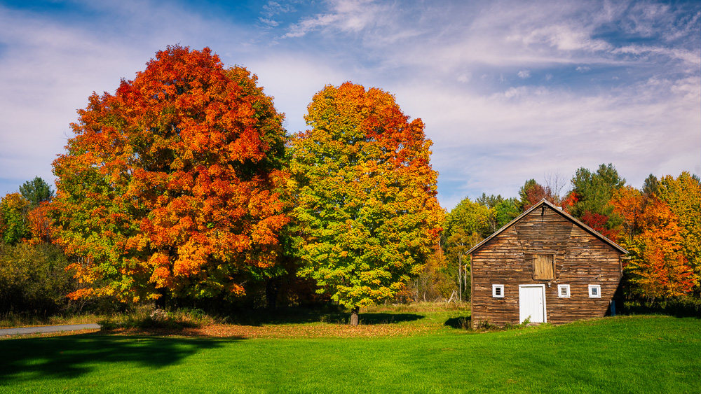 MAB-20211011-NY-ADIRONDACKS-AUTUMN-TREES-SHACK-24567.jpg