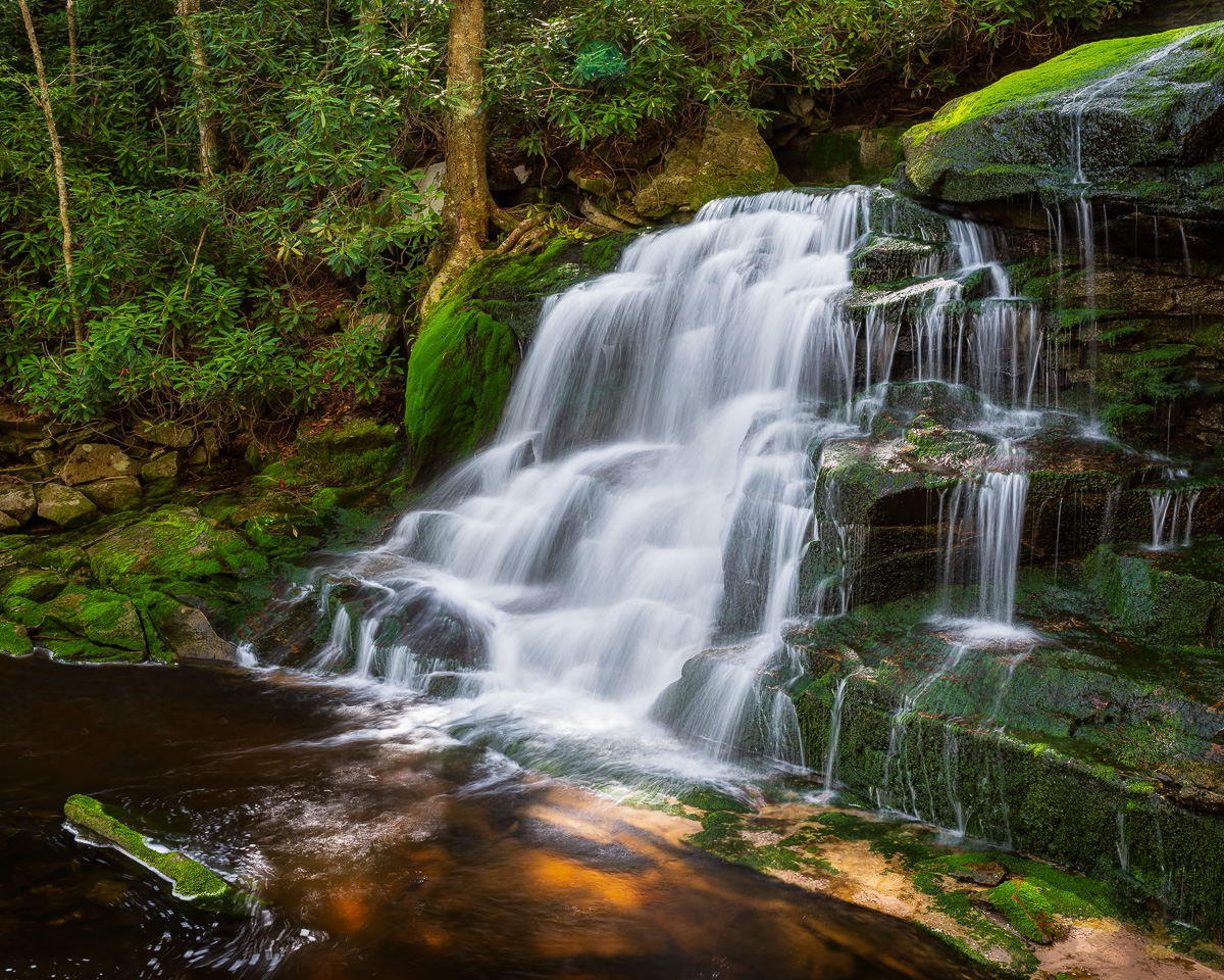 MAB-20210520-WV-BLACKWATER-ELAKALA-FALLS-SPRING-75312.jpg