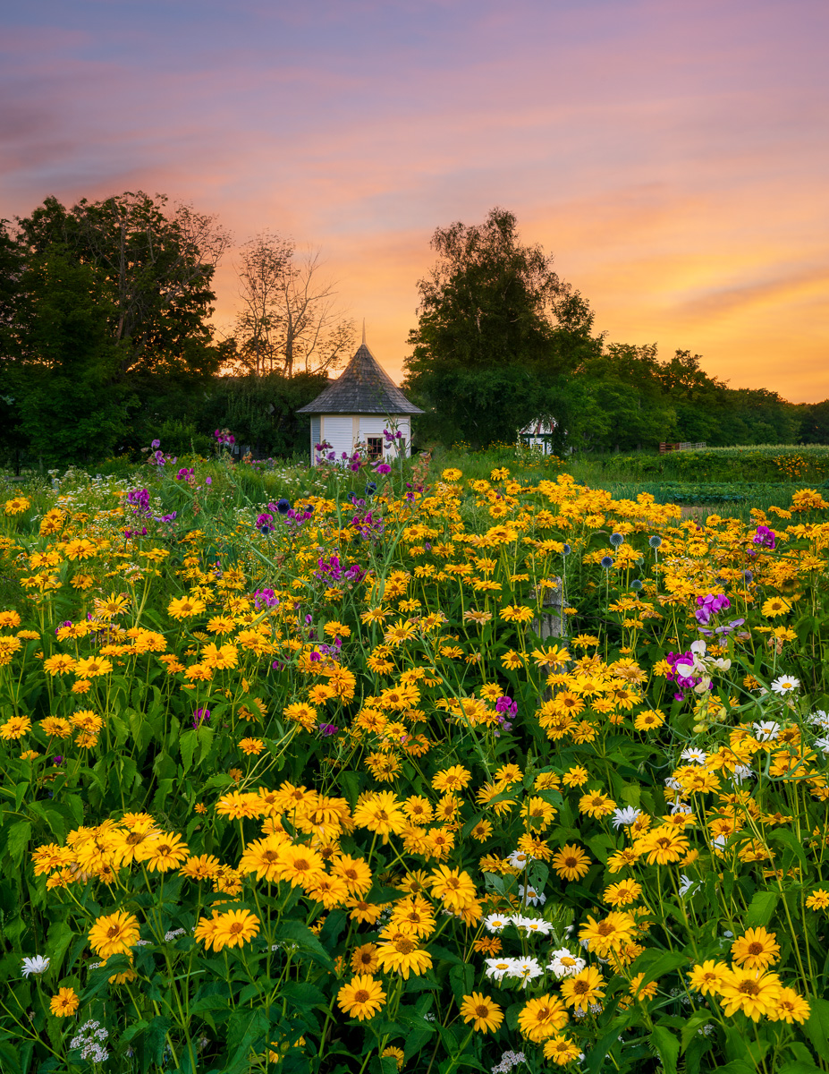 MAB-20220802-NH-MUSTER-FIELD-FARM-SUNSET-28667.jpg