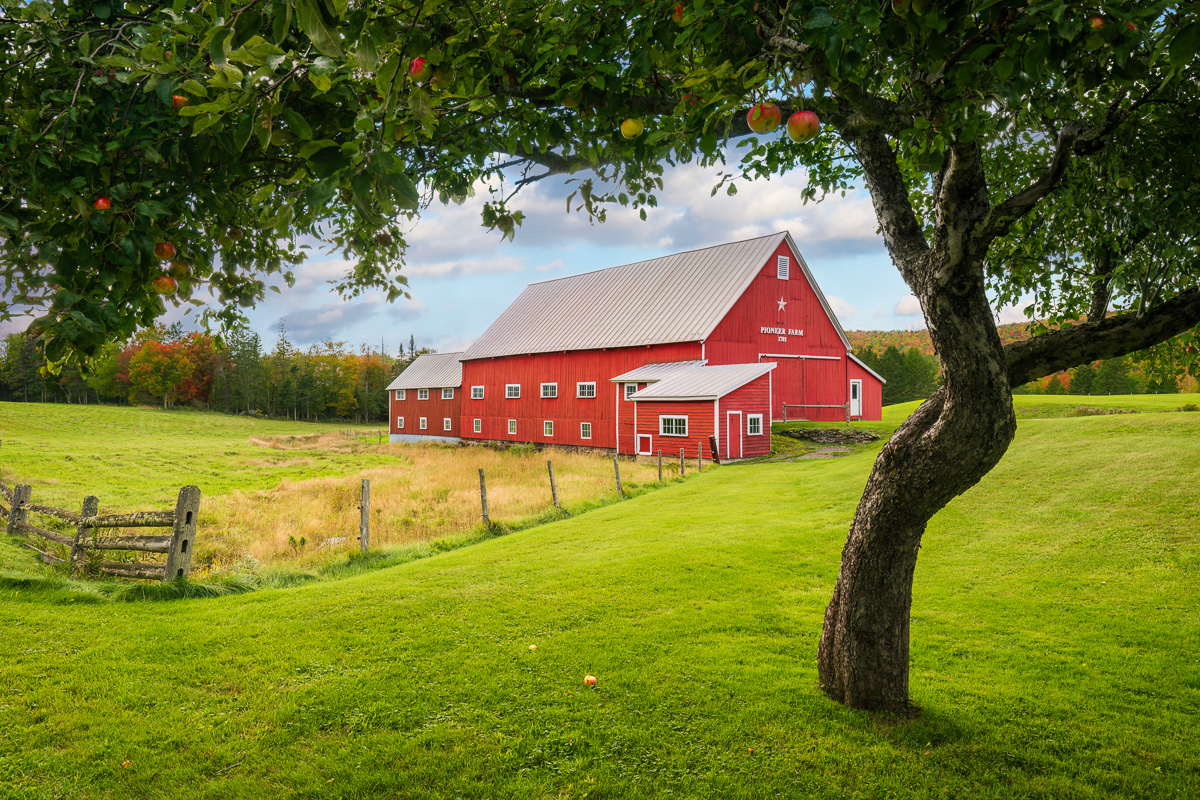 MAB-20220928-NH-PIONEER-FARM-AUTUMN-21108.jpg