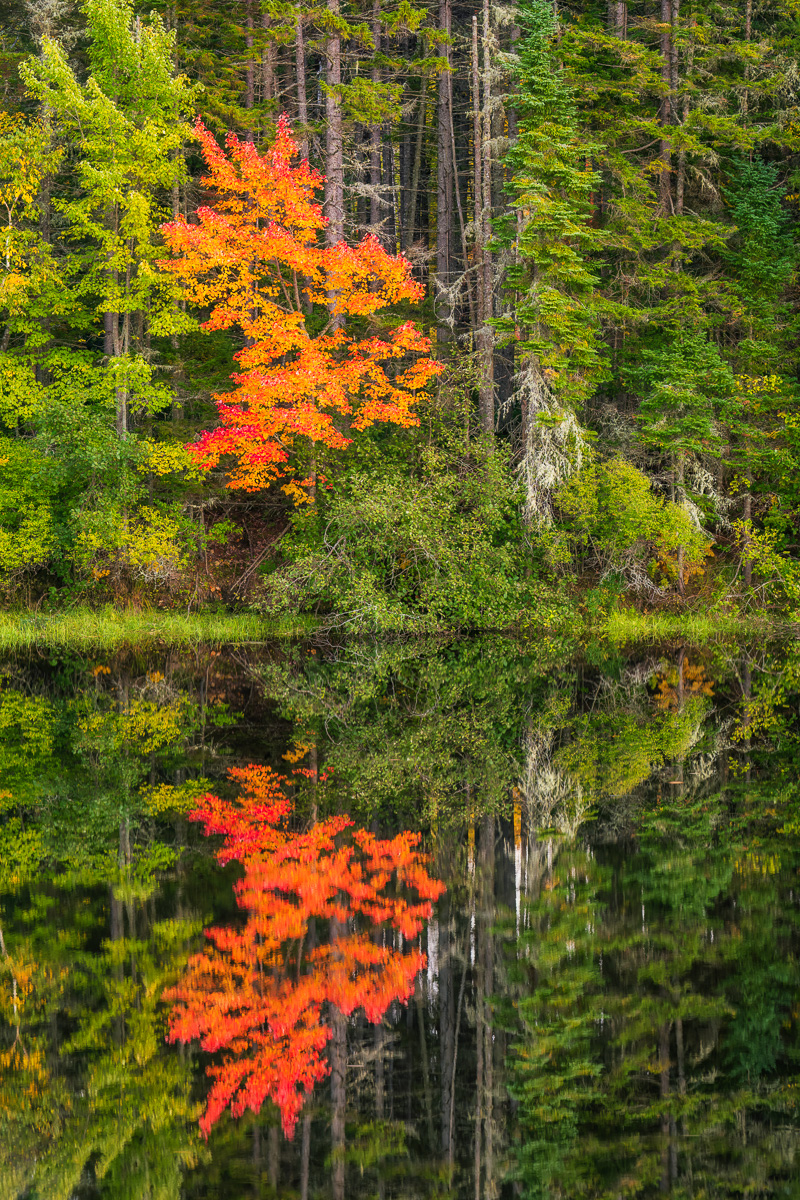 MAB-20220929-NH-ANDROSCOGGIN-RIVER-REFLECTION-AUTUMN-21339.jpg