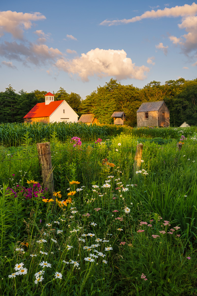 MAB-20230719-NH-MUSTER-FIELD-FARM-SUNSET-24952.jpg