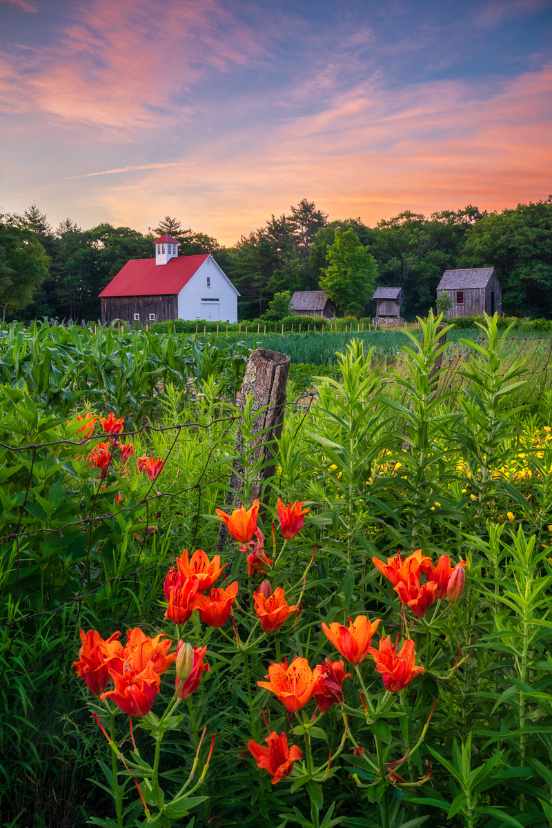 MAB-20240626-NH-MUSTER-FIELD-FARM-SUNRISE-081131.jpg