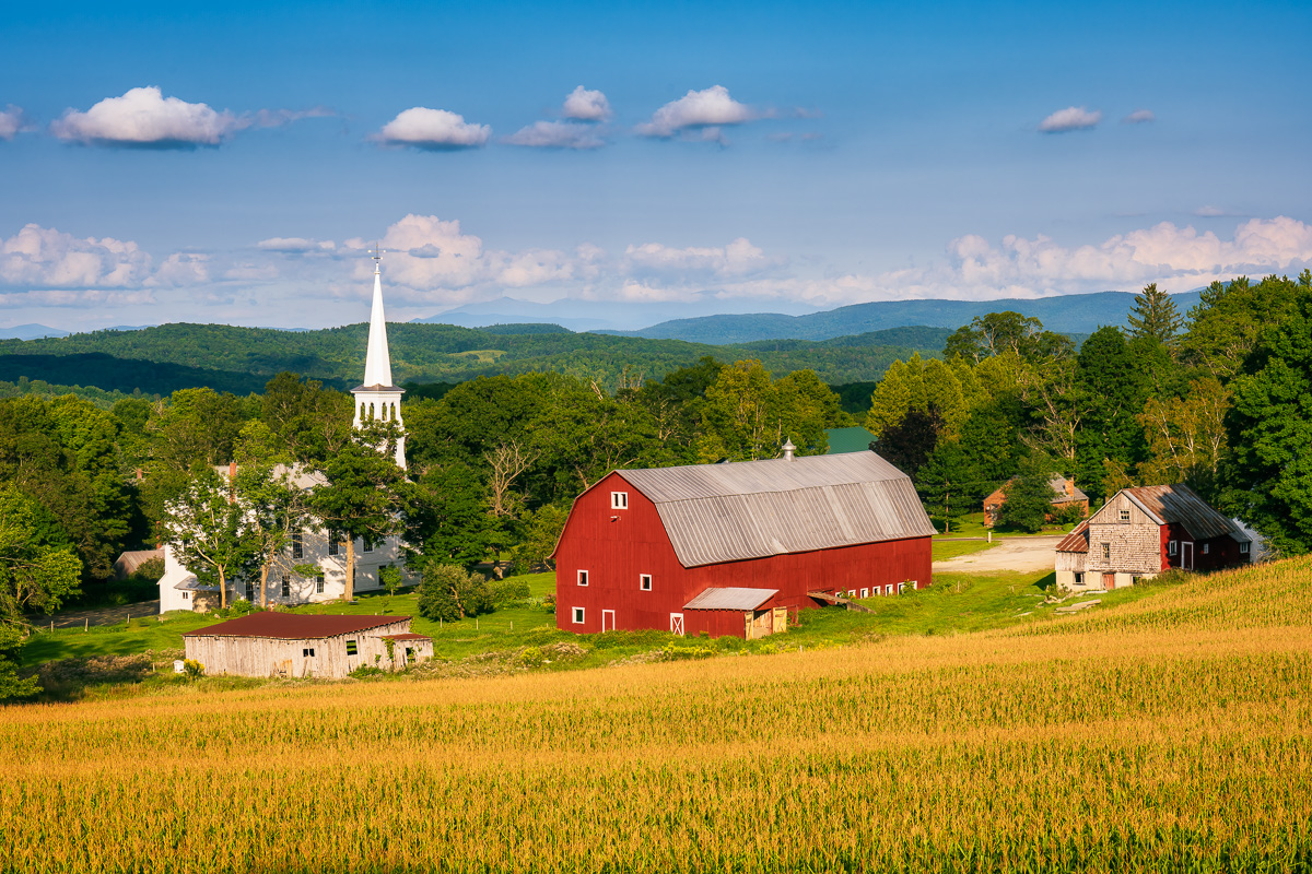 MAB-20210810-VT-PEACHAM-CORN-FIELD-21287.jpg