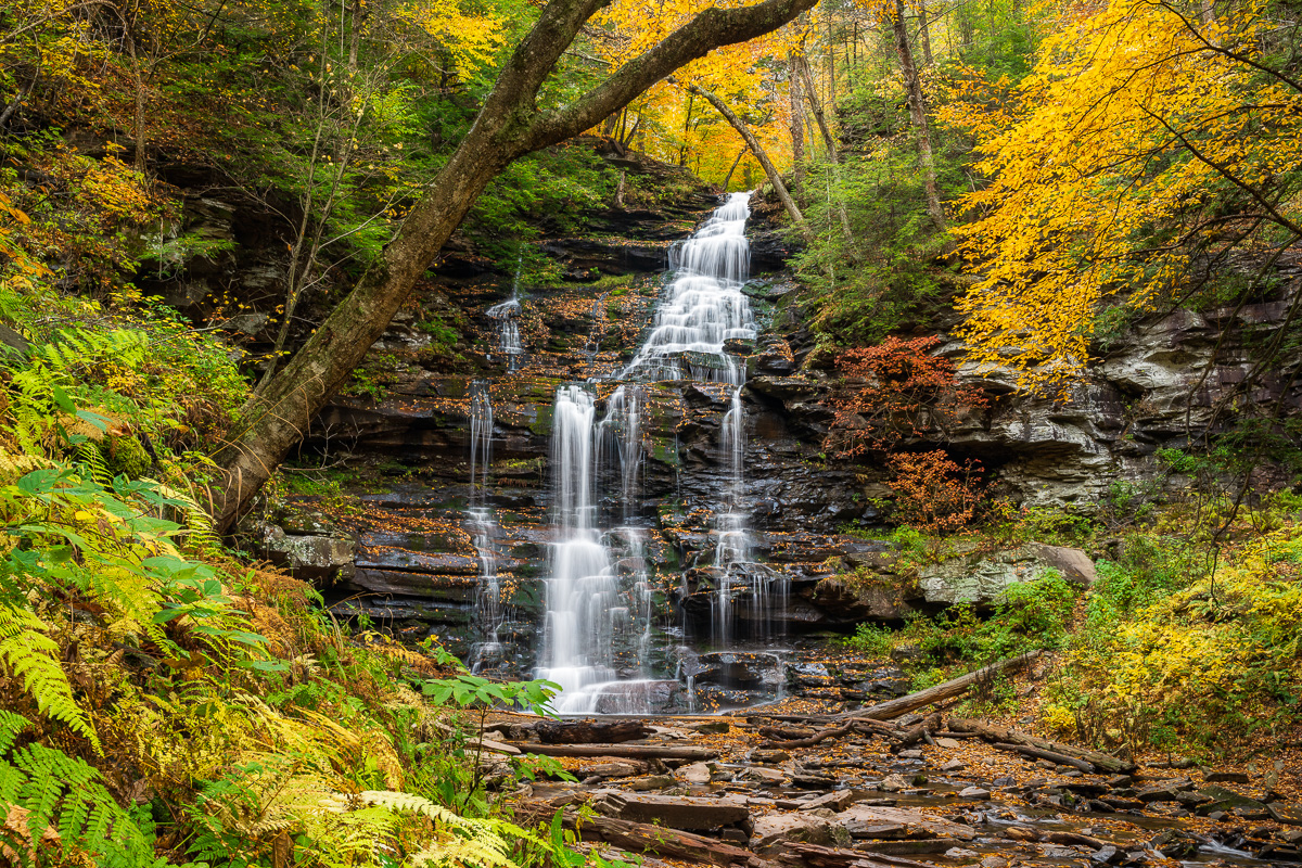 MAB-20201016-PA-RICKETTS-GLEN-GANOGA-FALLS-74677.jpg